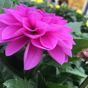 Meet your Posher, Kendra